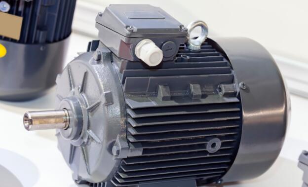 台州大速电机杨菊芳，讨论台州大速电机的杨菊芳的职业生涯