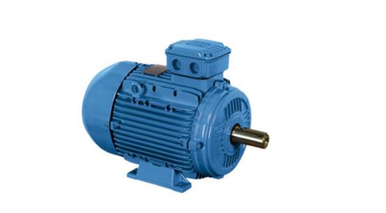 江西百胜车库门电机，江西百胜车库门电机的特点和使用方法